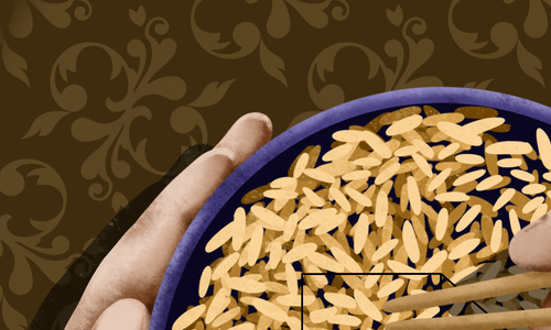 Nová položka v NBT databázi – rýže se zvýšeným obsahem esenciálních mikroprvků
