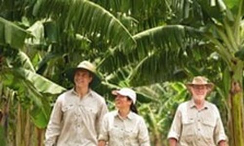 Filipíny a Austrálie: revoluce geneticky upravených banánů