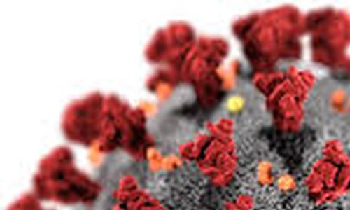 Vědci potvrdili přírodní původ koronaviru SARS-CoV-2