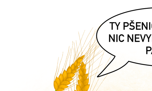 Nová položka v databázi NBT organismů – Pšenice odolná k padlí