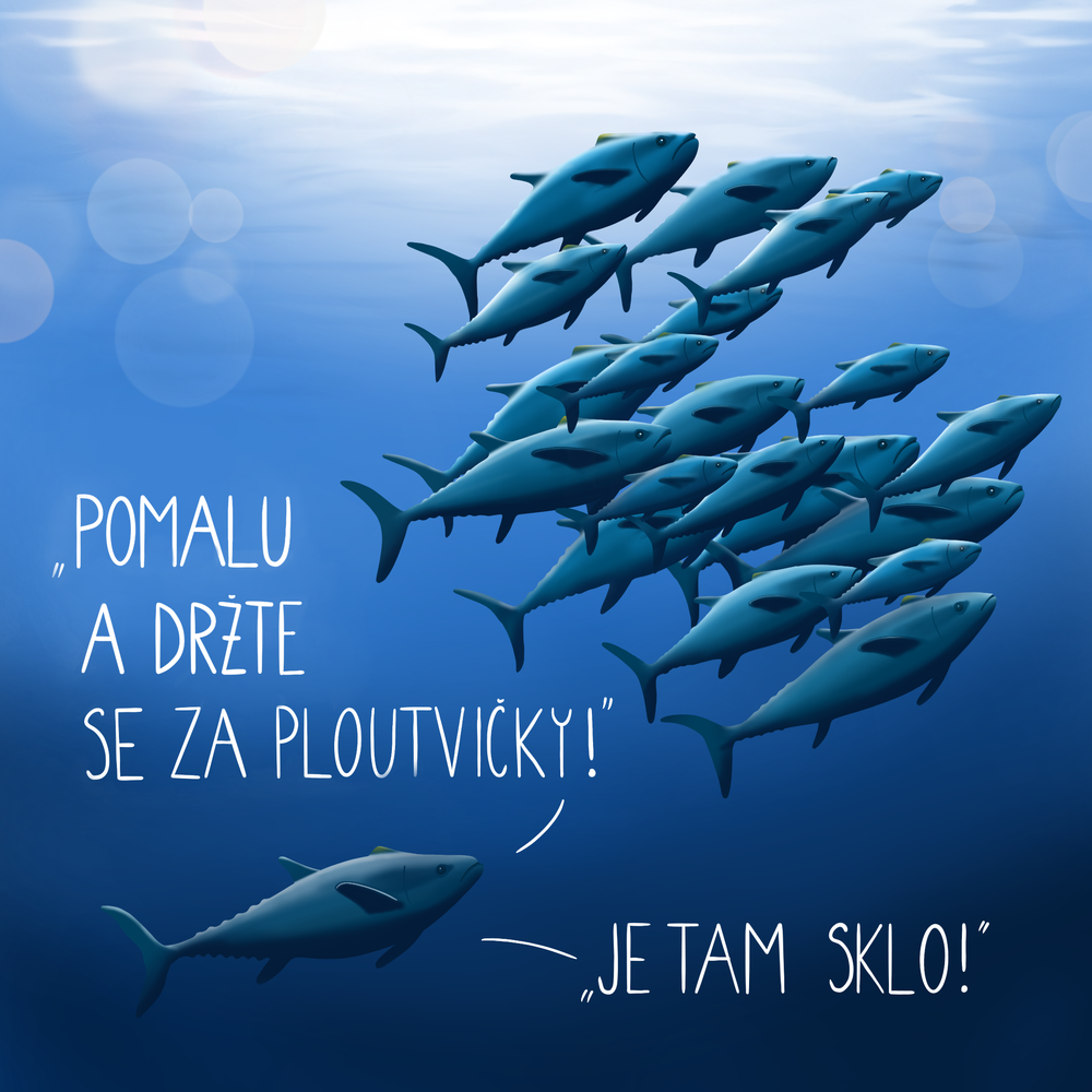 „Zpomalený“ tuňák pacifický