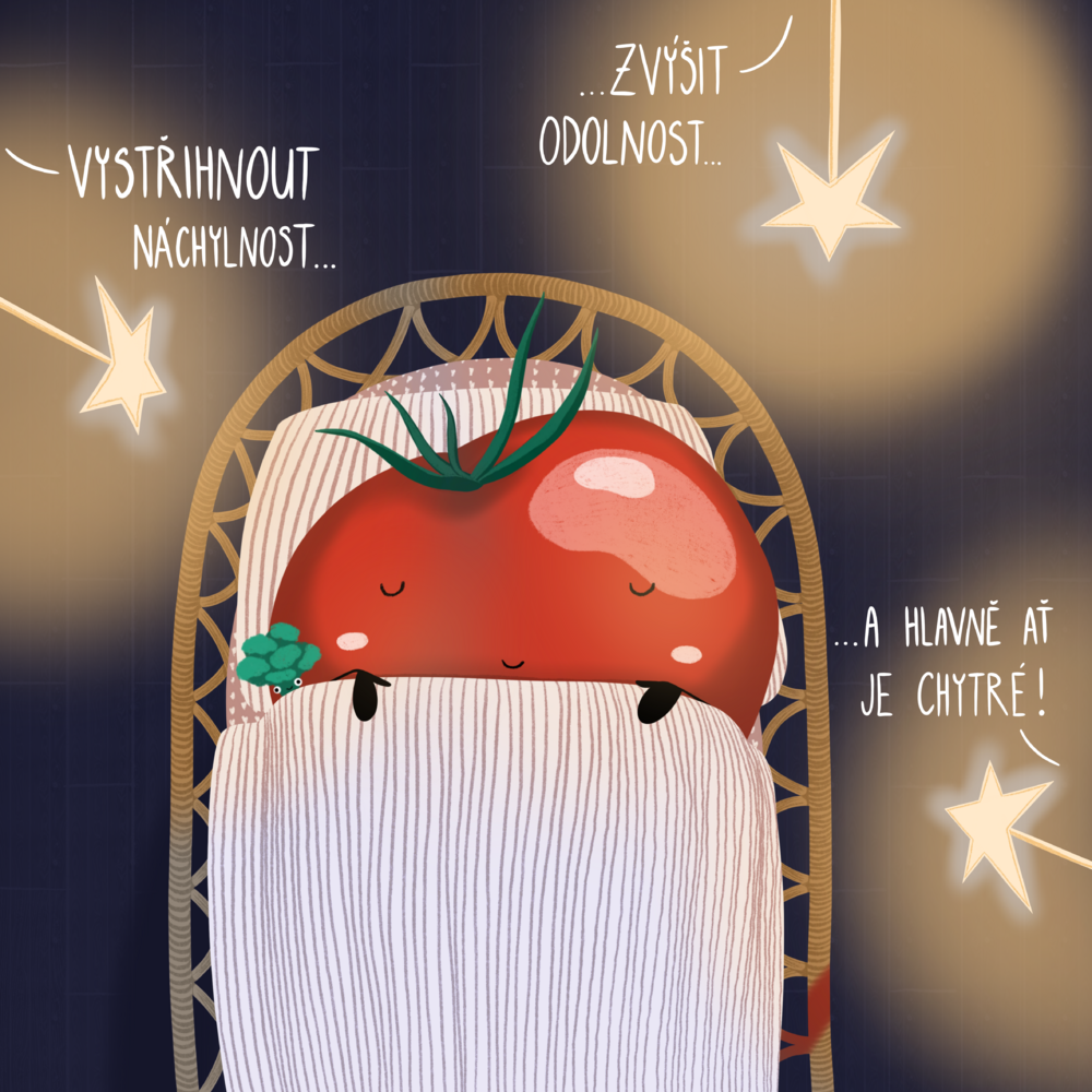 Rajče odolné vůči houbovému vadnutí