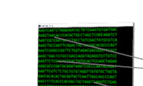 Světlo, kamera, CRISPR: Editace genomu pro uložení krátkého filmu do DNA živých bakterií