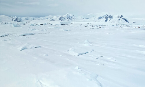 Extrémní život a jeho skrytý potenciál: antarktické mikroorganismy jako zdroj budoucích biotechnologií