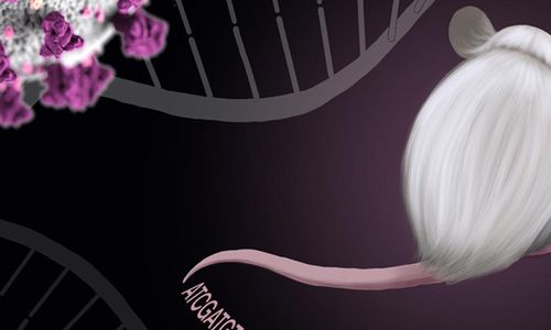 Geneticky upravené myši jakožto nástroj pro hlubší poznání COVID-19 u lidí