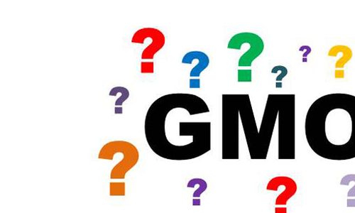 Praktické otázky v oblasti GMO