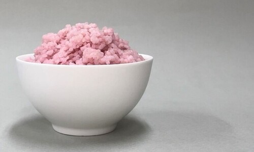Budoucnost potravin: Rýžová zrna s masem uvnitř