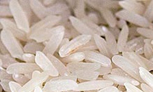 Upravená rýže pro boj s cukrovkou a rakovinou