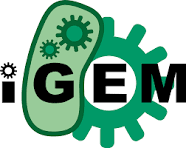 iGEM – světová soutěž v syntetické biologii a naše české úspěchy