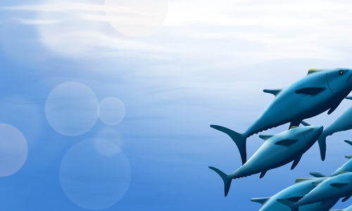 Nová položka v NBT databázi – „Zpomalený“ tuňák pacifický