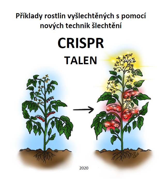 Kredit: Biotrin.